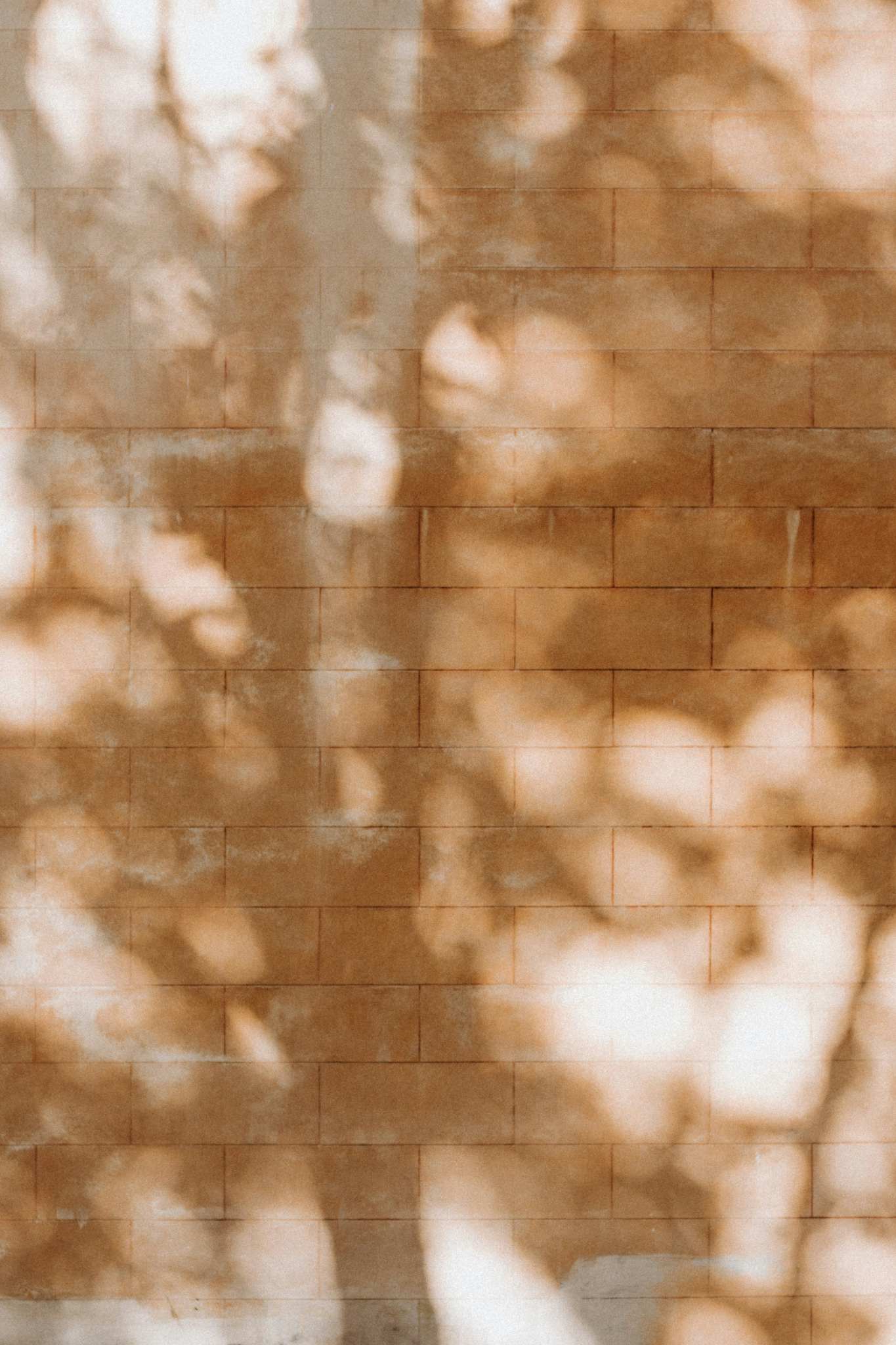 Pawel czerwinski zZDl5AzoYeI unsplash